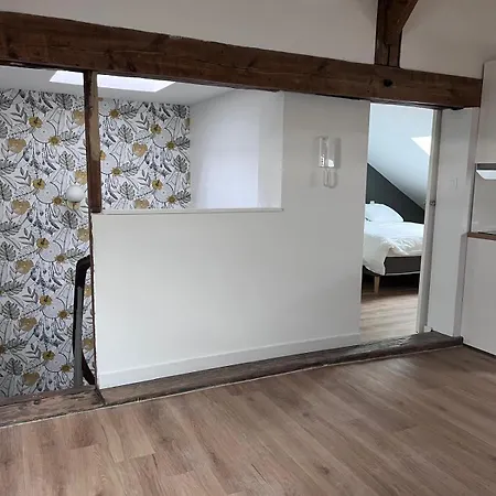 Loft Atelier D'artiste Apartment Mussidan