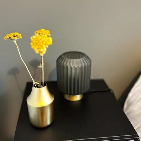 Loft Atelier D'artiste Apartment *